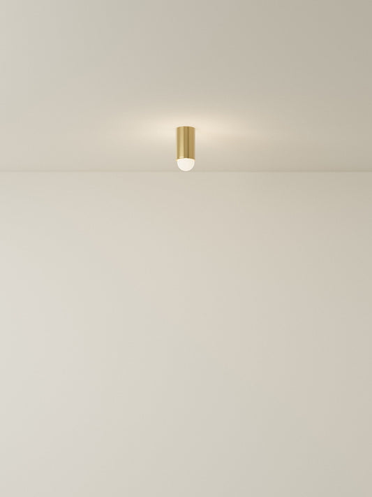 Spot Ceiling 01 Pendant Lights