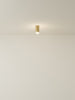 Spot Ceiling 01 Pendant Lights