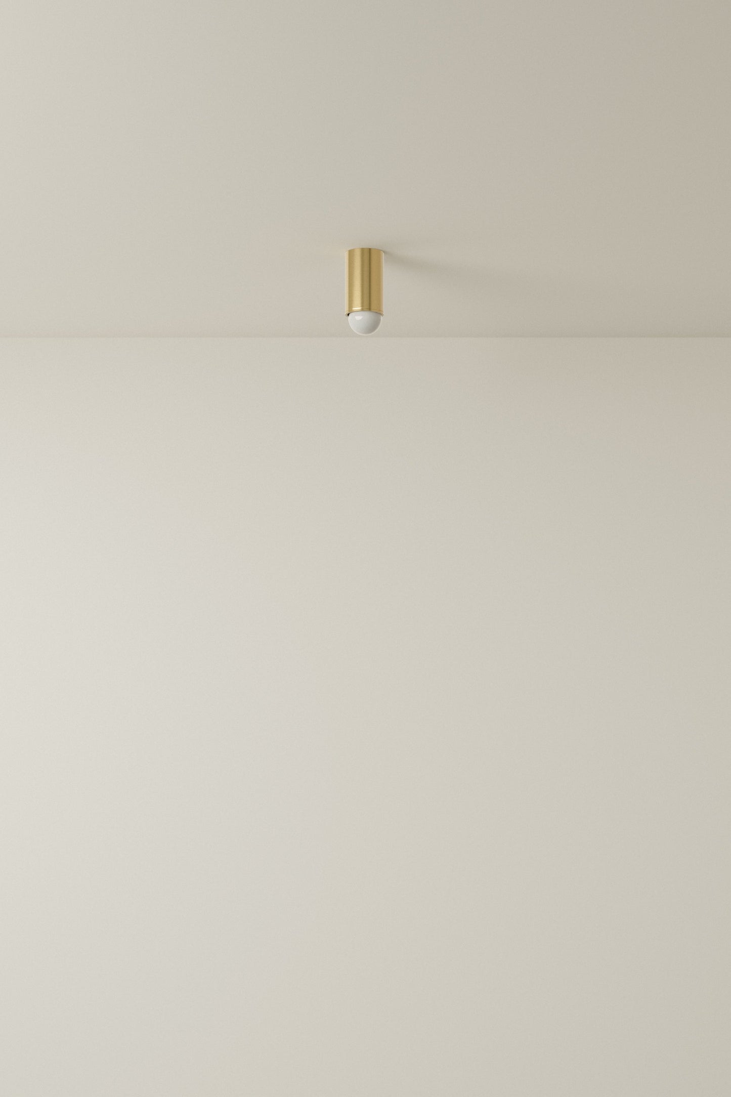 Spot Ceiling 01 Pendant Lights