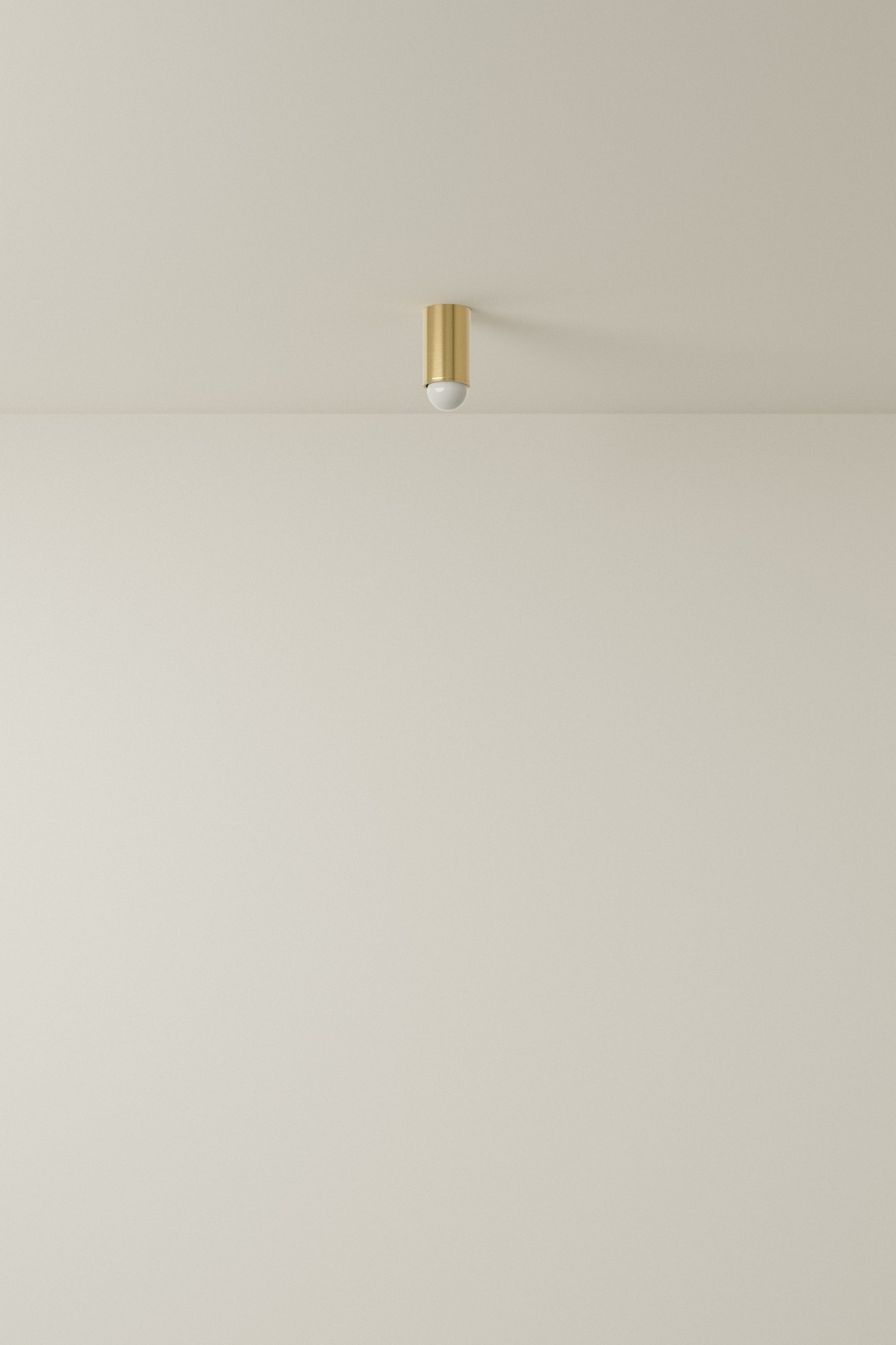 Spot Ceiling 01 Pendant Lights