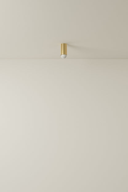 Spot Ceiling 01 Pendant Lights