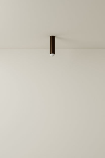 Spot Ceiling 02 Pendant Lights