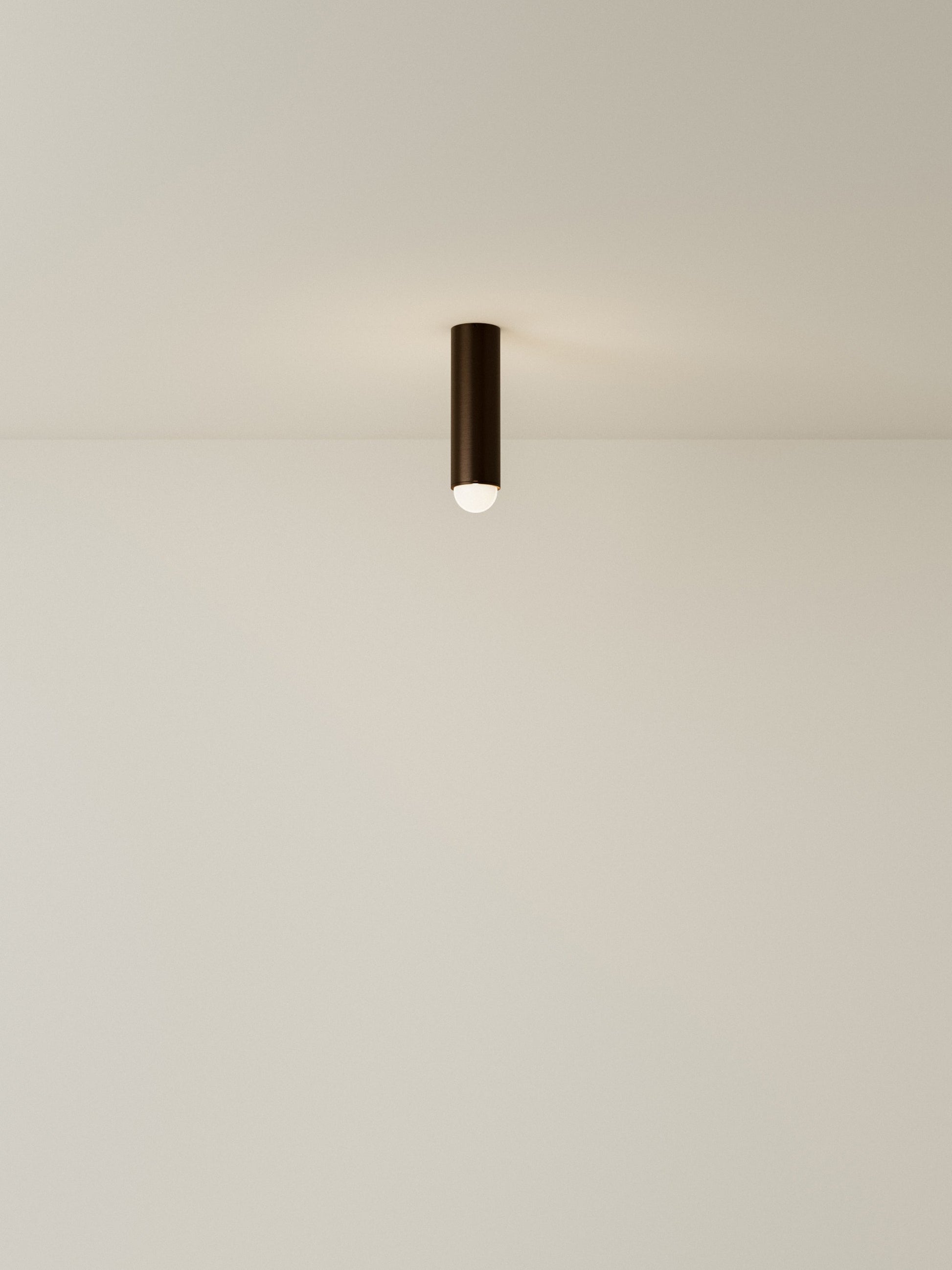 Spot Ceiling 02 Pendant Lights