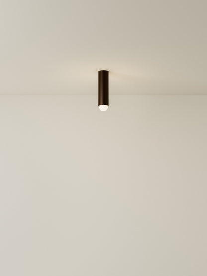 Spot Ceiling 02 Pendant Lights