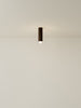 Spot Ceiling 02 Pendant Lights