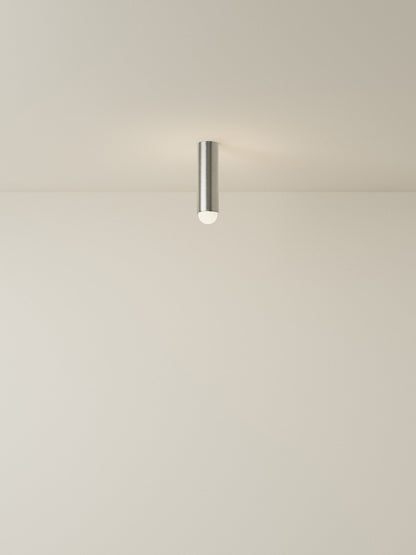 Spot Ceiling 02 Pendant Lights