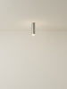 Spot Ceiling 02 Pendant Lights