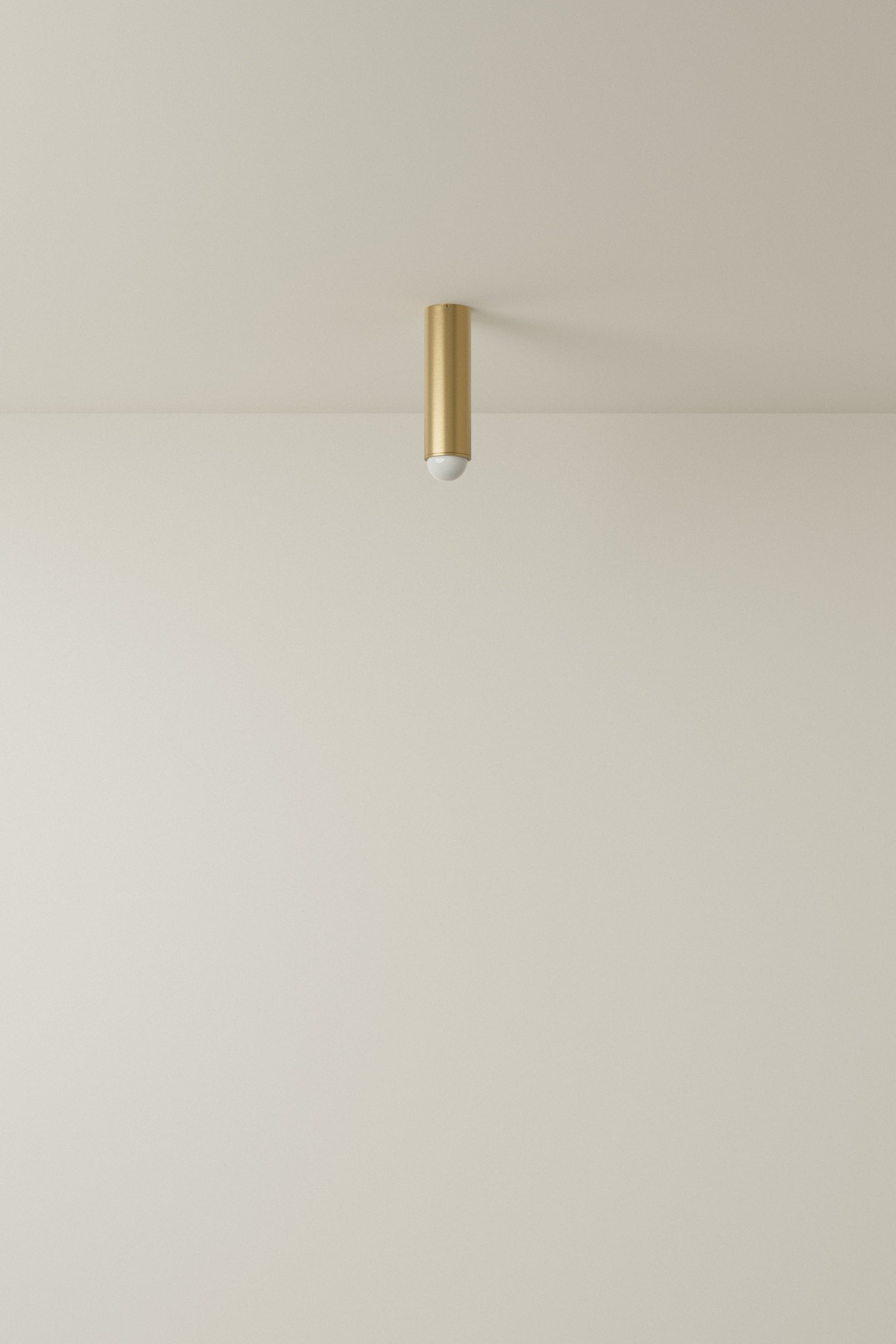 Spot Ceiling 02 Pendant Lights