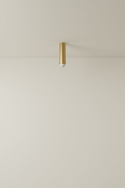 Spot Ceiling 02 Pendant Lights