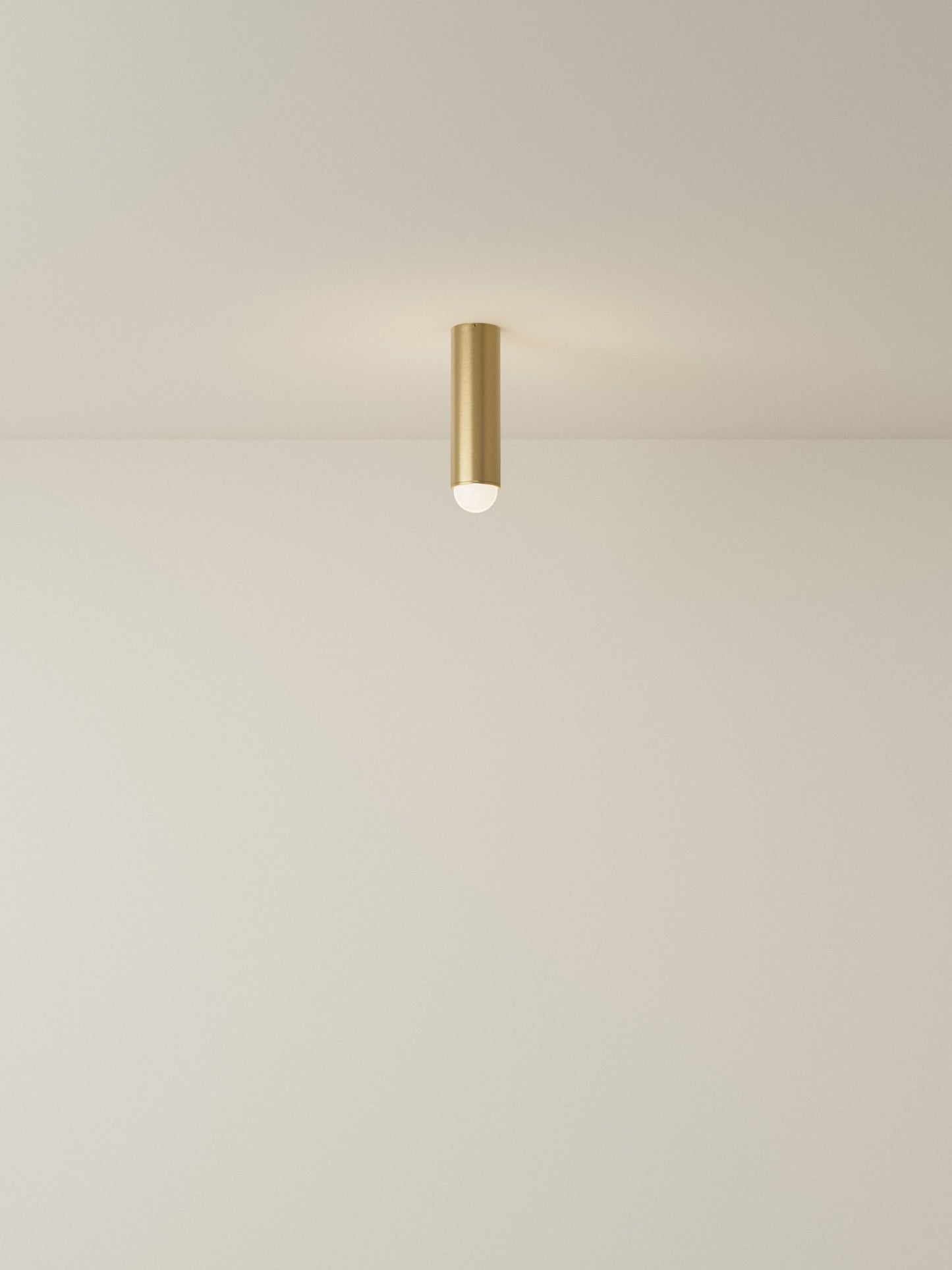 Spot Ceiling 02 Pendant Lights