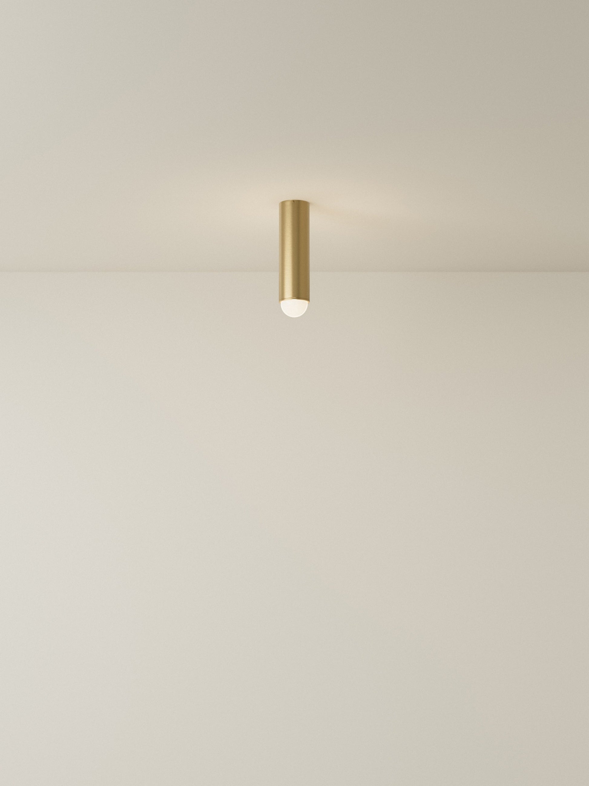 Spot Ceiling 02 Pendant Lights