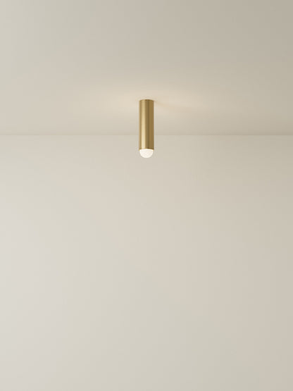 Spot Ceiling 02 Pendant Lights