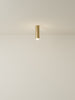 Spot Ceiling 02 Pendant Lights