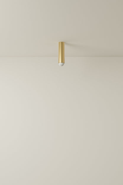 Spot Ceiling 02 Pendant Lights