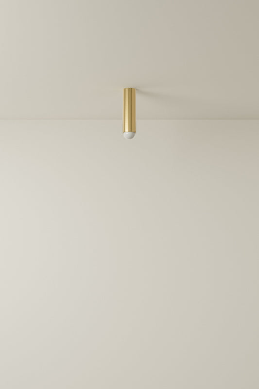 Spot Ceiling 02 Pendant Lights