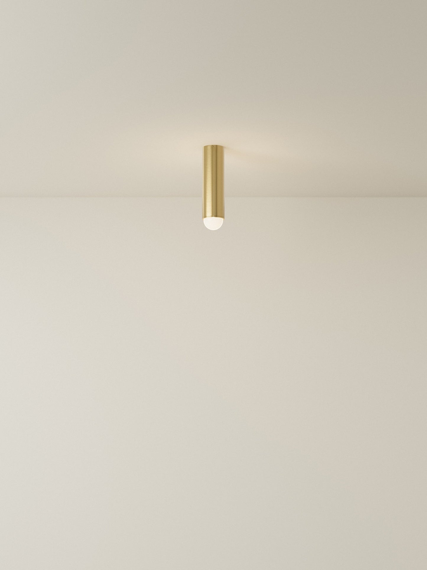 Spot Ceiling 02 Pendant Lights