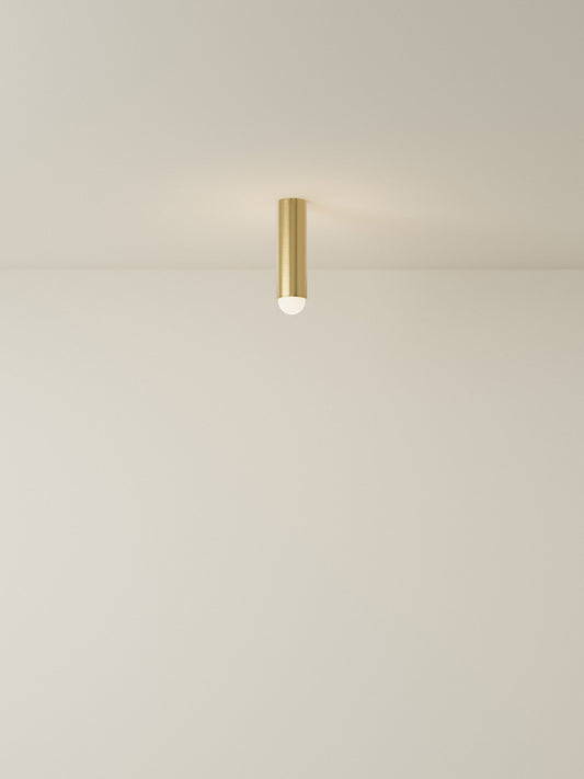 Spot Ceiling 02 Pendant Lights