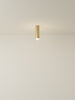 Spot Ceiling 02 Pendant Lights