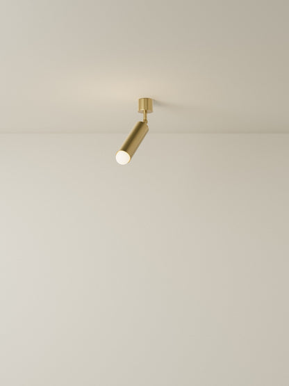 Spot Pivot 01 Ceiling/Wall Light Sconces