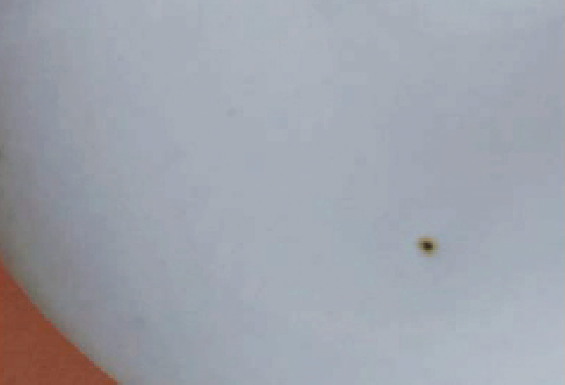 Vy Voi Glaze - Tea Dust only