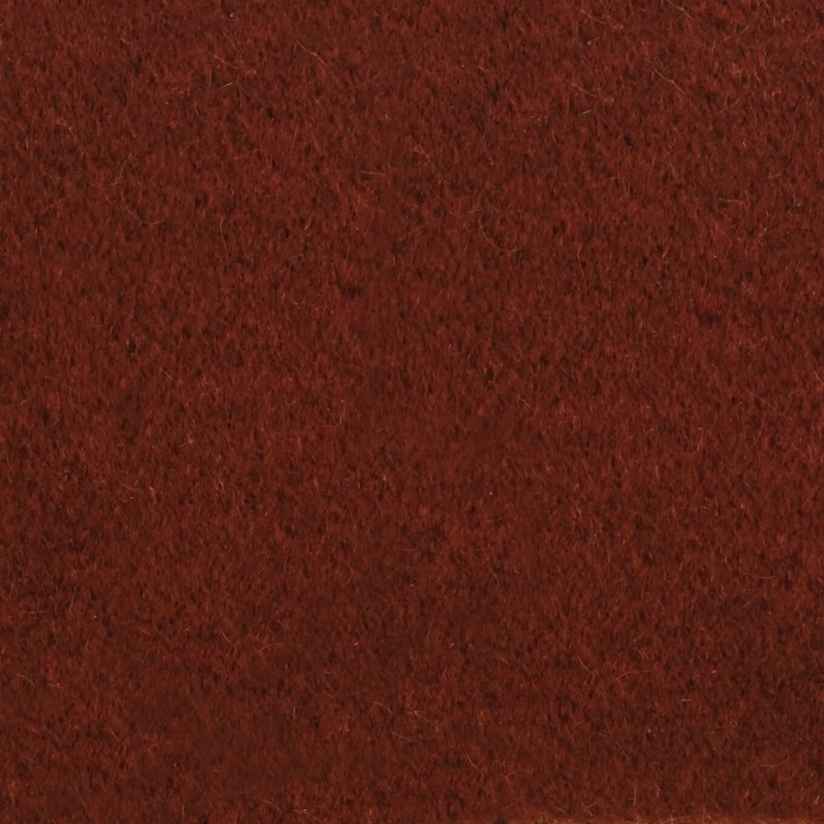 Teddy Mohair Acajou swatch