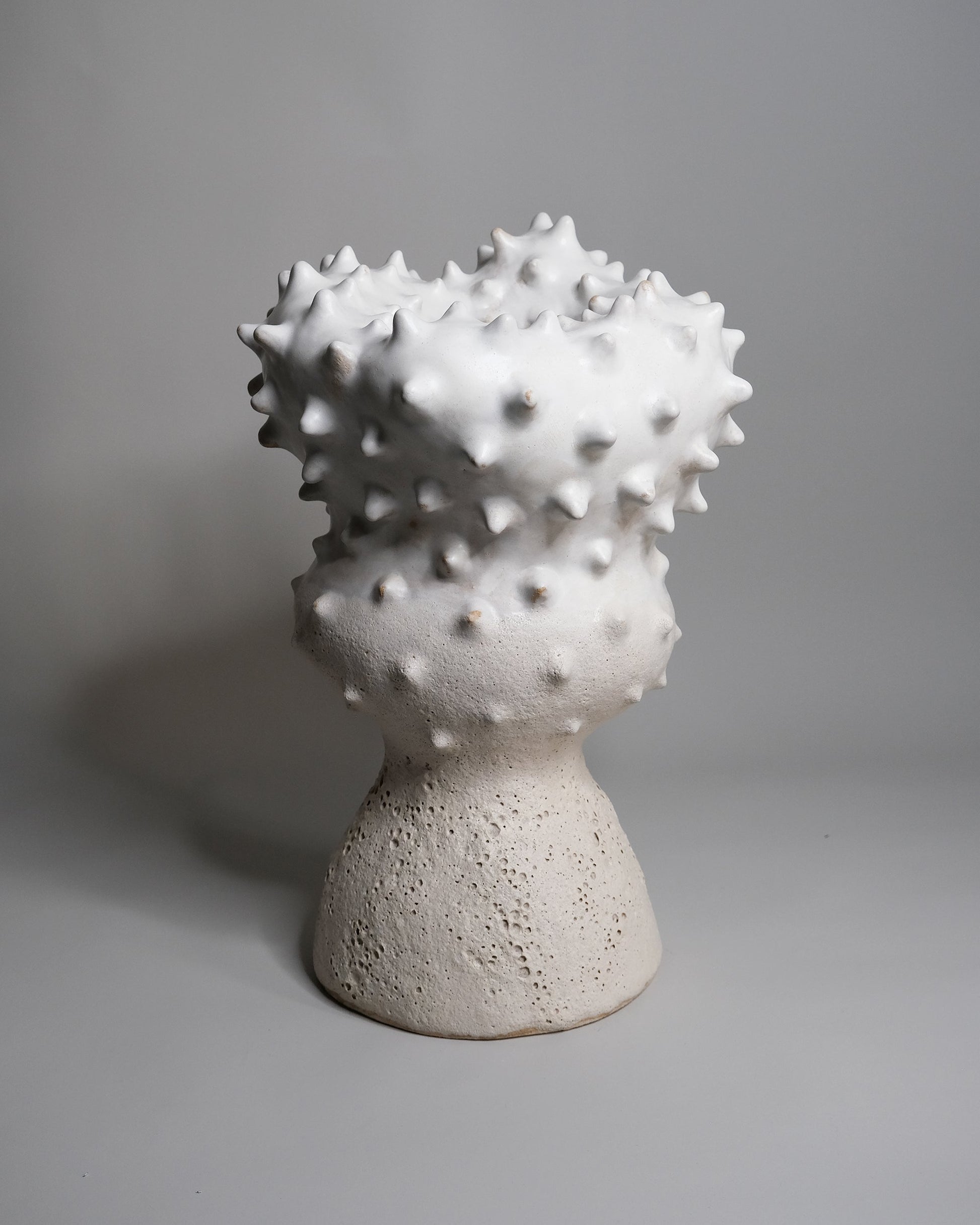 Thorn Vase by Terre Brute Vases