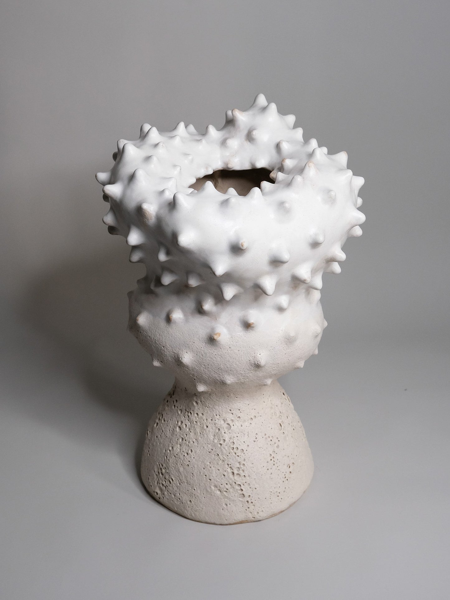 Thorn Vase by Terre Brute Vases