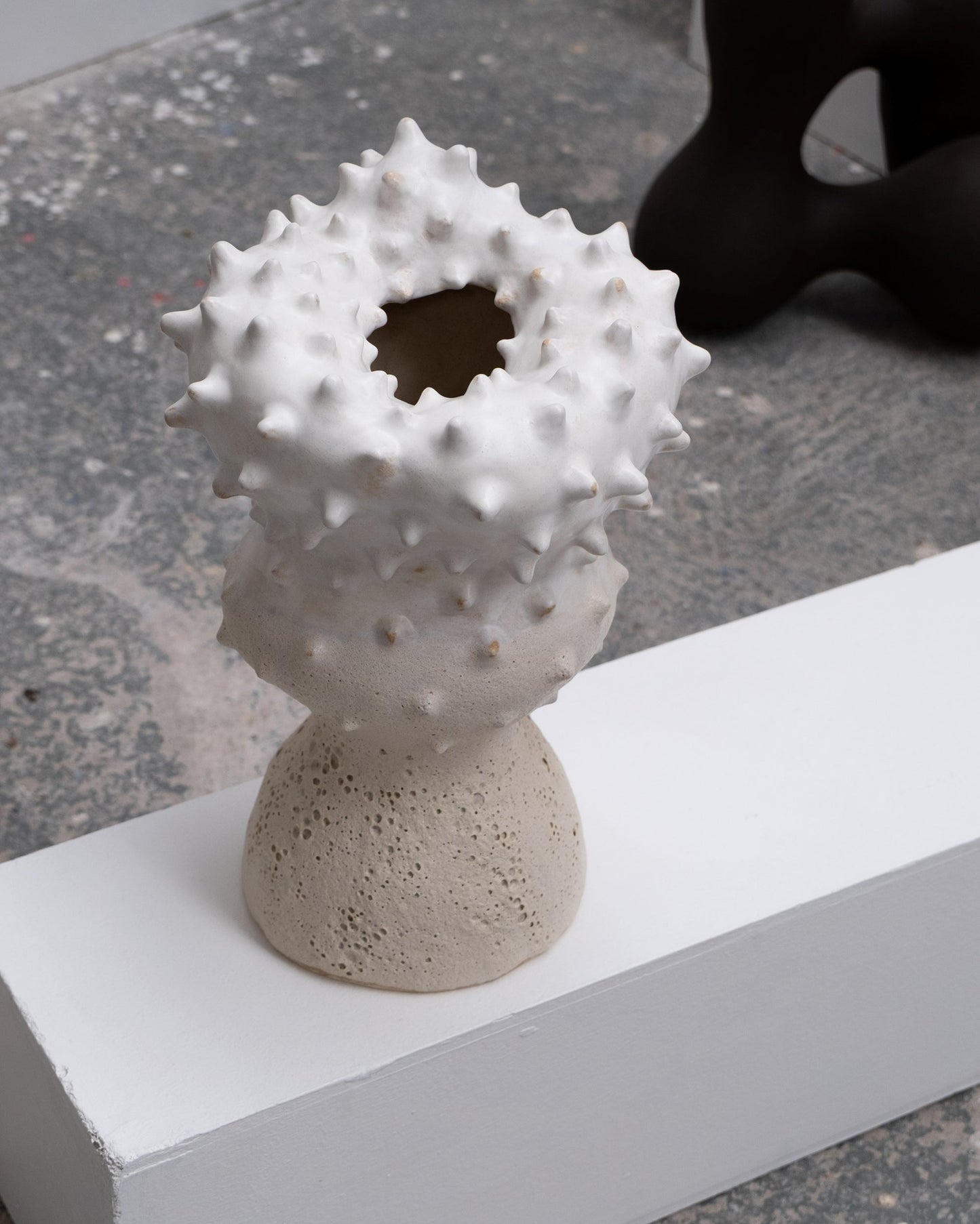 Thorn Vase by Terre Brute Vases