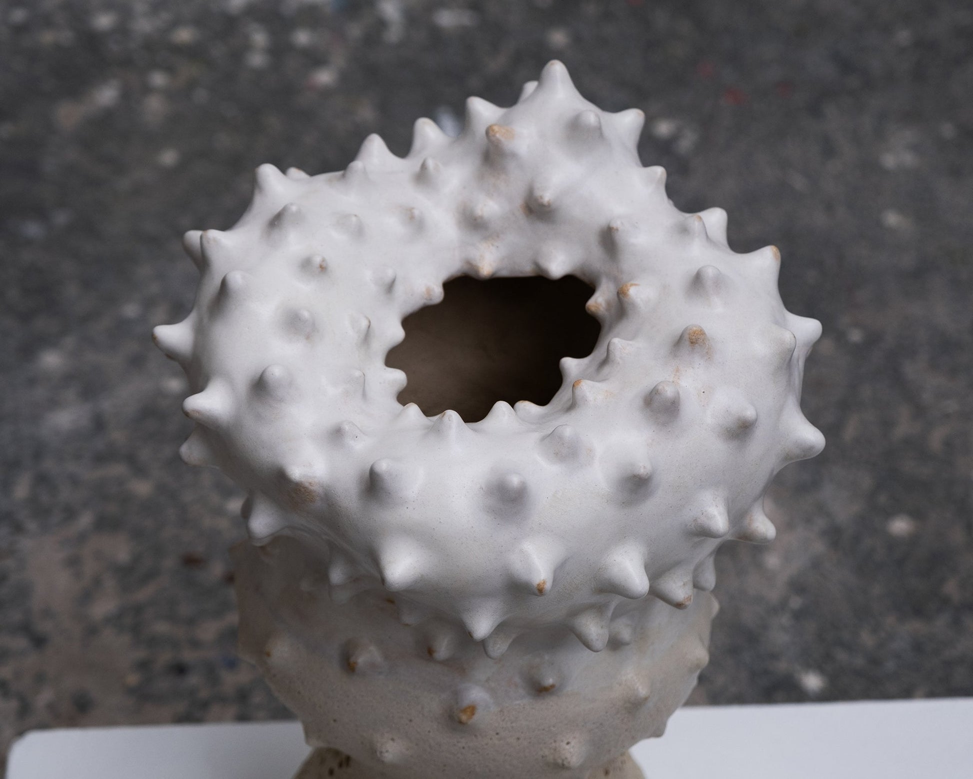 Thorn Vase by Terre Brute Vases