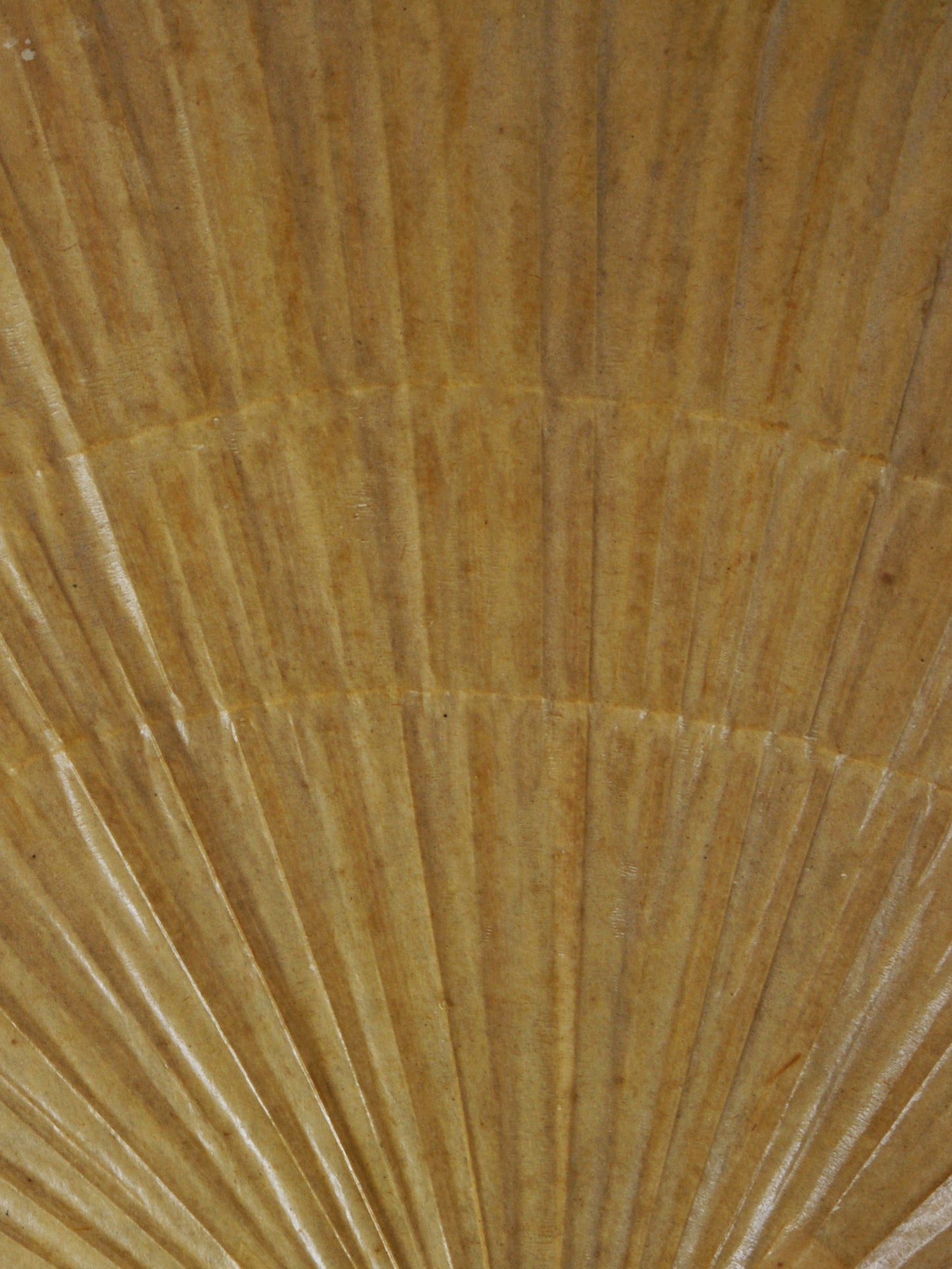 Uchiwa Wall Lamp by Ingo Maurer, Ca.1970 Sconces