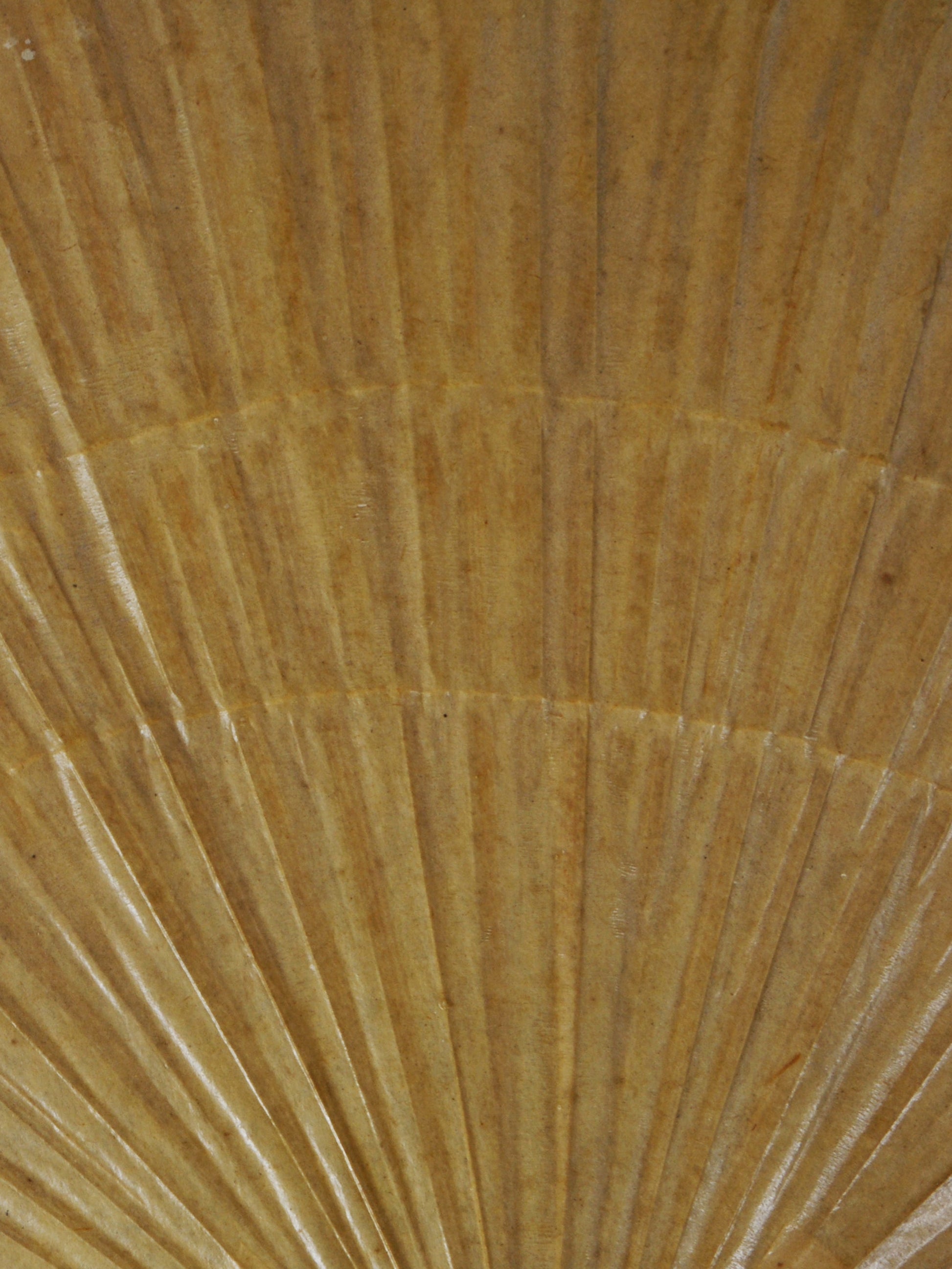 Uchiwa Wall Lamp by Ingo Maurer, Ca.1970 Sconces