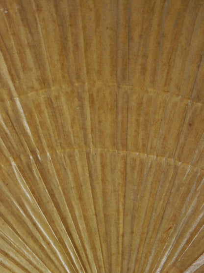 Uchiwa Wall Lamp by Ingo Maurer, Ca.1970 Sconces