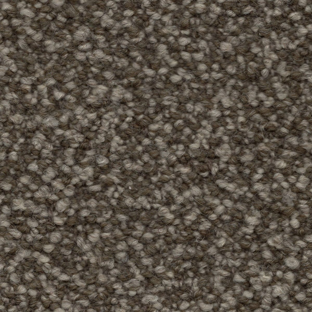 Biella Wool Boucle Fabric Decor Taupe