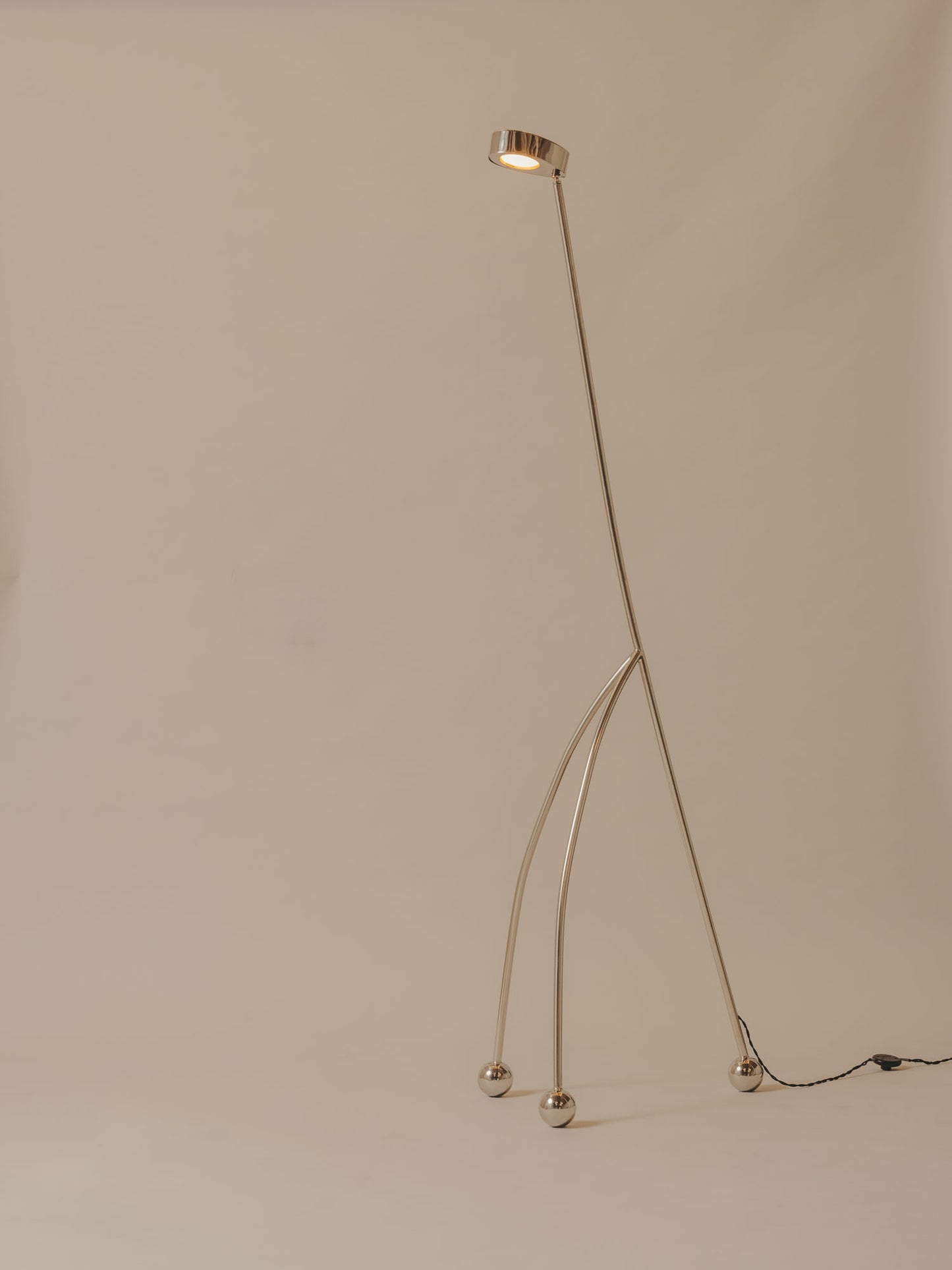 The Giraffe Floor Lamp