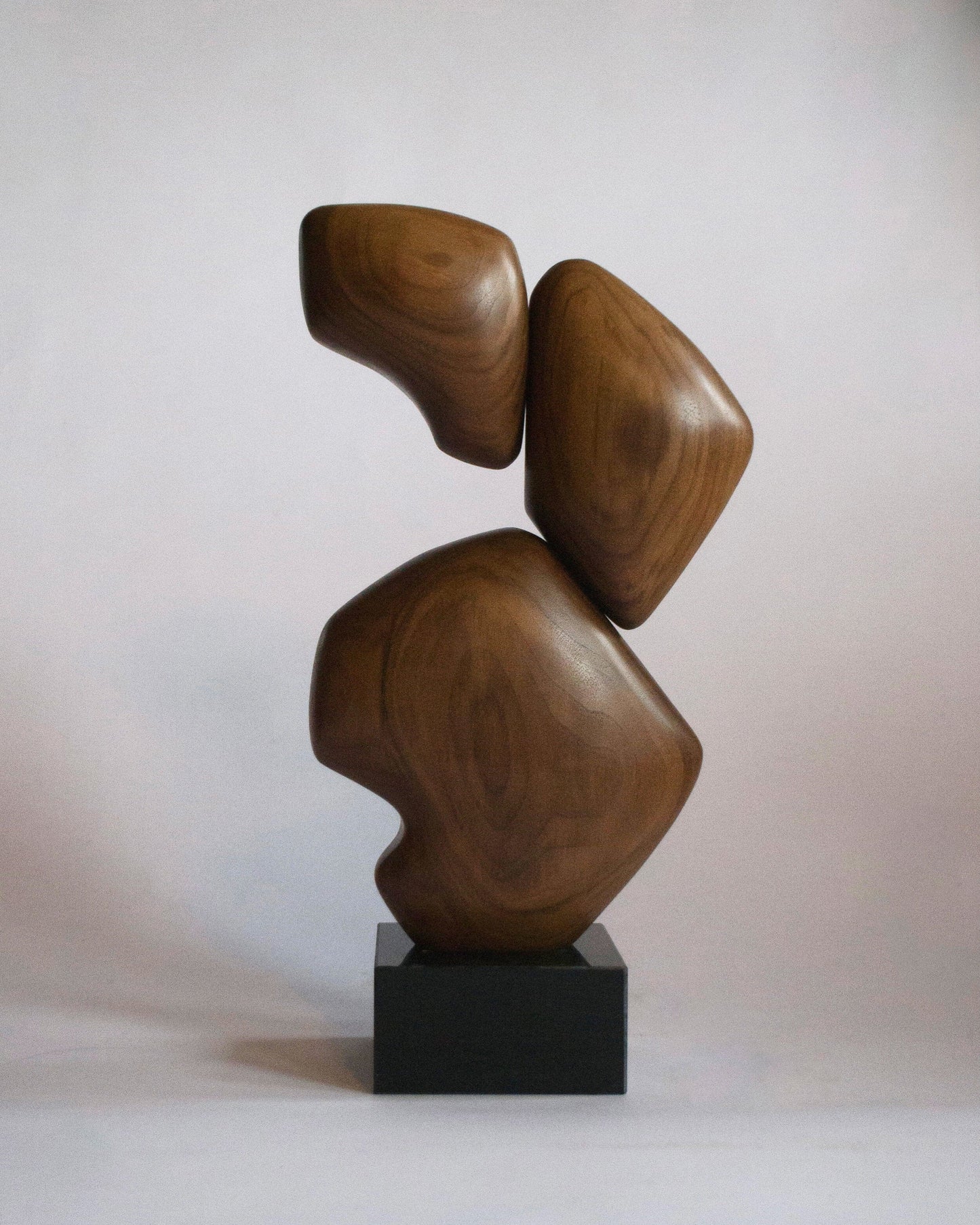 Nautilus Wooden Sculpture by Chandler Mclellan Sculptures & Statues