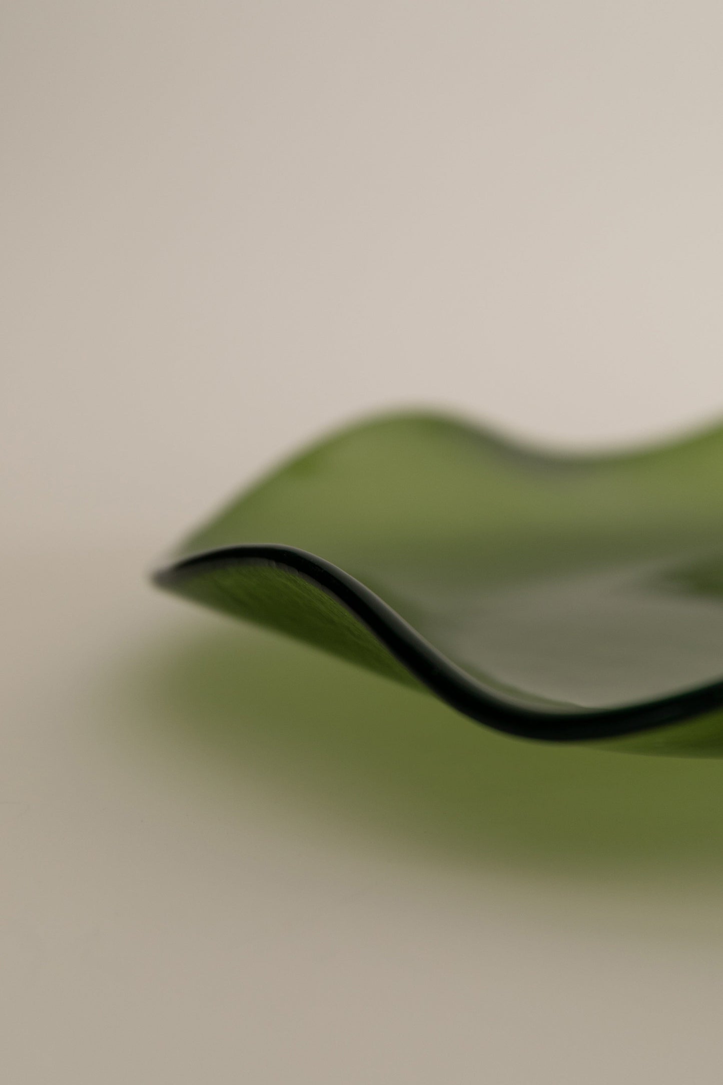 Petal Plate Olive - Small