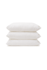 Sleep Pillow by Tyler Lambert Pillows