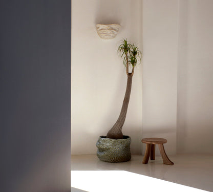 Casa Wall Light No 6 in White Sconces