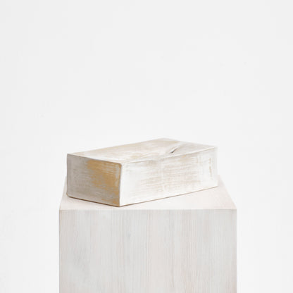 Ceramic Tissue Box in Brushed White Bath