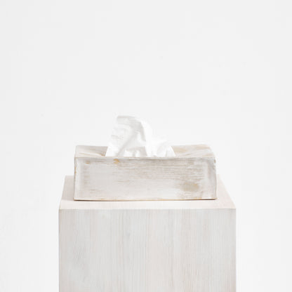 Ceramic Tissue Box in Brushed White Bath