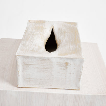 Ceramic Tissue Box in Brushed White Bath