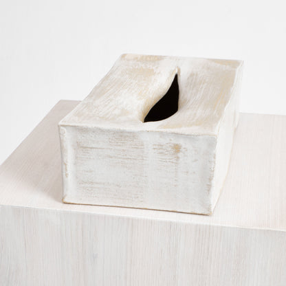 Ceramic Tissue Box in Brushed White Bath