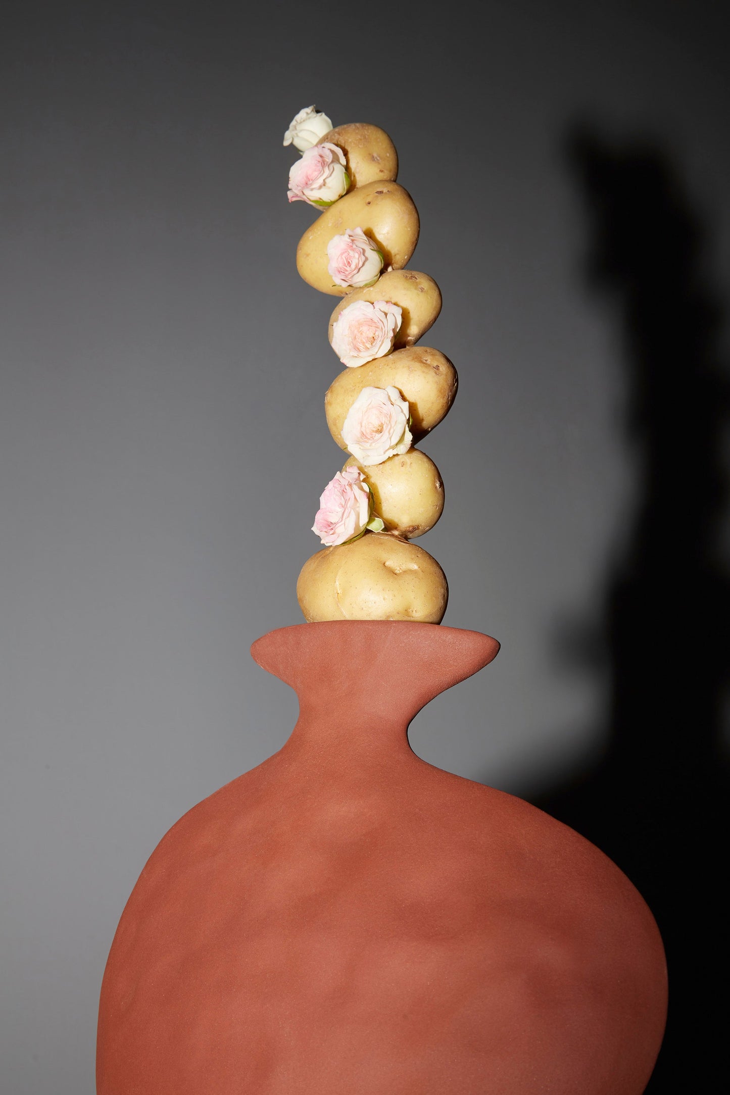 Flat Vase in Brick Vases 