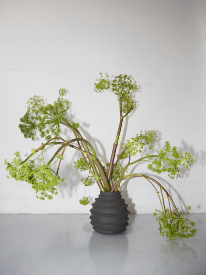 Holiday Vase in Dusty Black Vases 