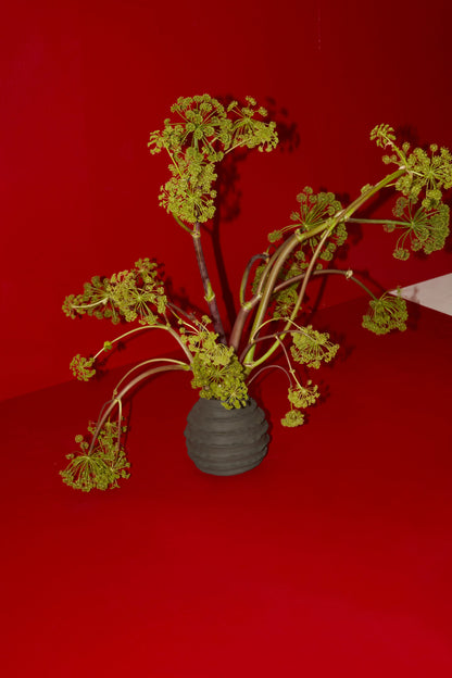 Holiday Vase in Dusty Black Vases 