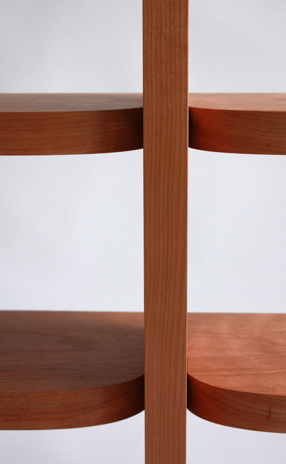 Shelf (Between A Rock and A Hard Place) Bookcases
