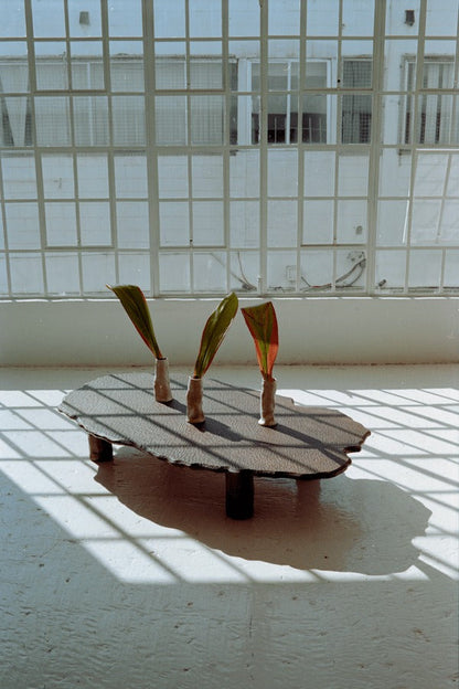 Mare Coffee Table Coffee Tables